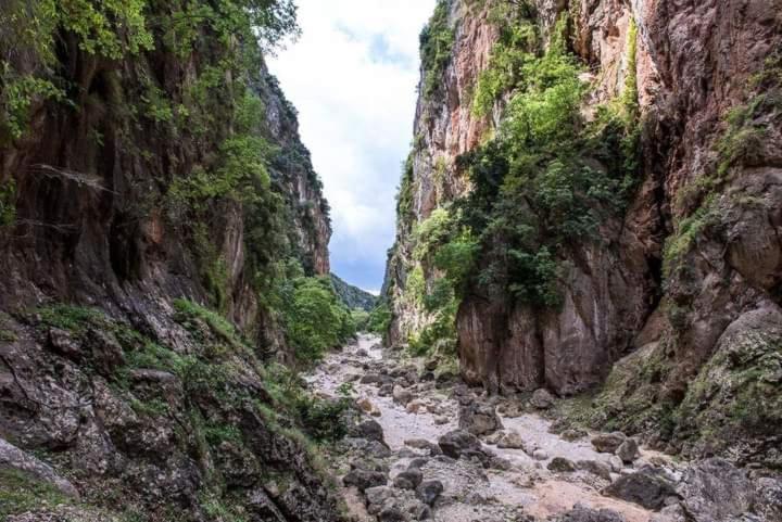 Gjipe Eco Campground Vuno Экстерьер фото